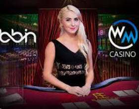 c7下载2024最新版